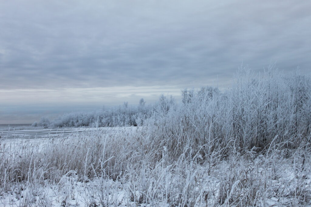 Merihelmi Camping — photo 6